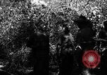 Standbild William Slim Birma, 1945, aus Sekunde 43 historischem Filmmaterial Videoclip 65675069665