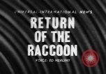 Image of raccoon coats Allentown Pennsylvania USA, 1957, second 1 stock footage video 65675069673