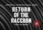 Image of raccoon coats Allentown Pennsylvania USA, 1957, second 5 stock footage video 65675069673