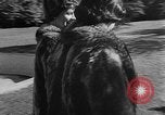 Image of raccoon coats Allentown Pennsylvania USA, 1957, second 31 stock footage video 65675069673