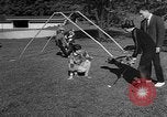 Image of raccoon coats Allentown Pennsylvania USA, 1957, second 56 stock footage video 65675069673
