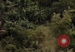 Image of United States air strike Vietnam, 1968, second 3 stock footage video 65675069676