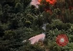 Image of United States air strike Vietnam, 1968, second 9 stock footage video 65675069676