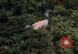 Image of United States air strike Vietnam, 1968, second 10 stock footage video 65675069676