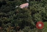Image of United States air strike Vietnam, 1968, second 11 stock footage video 65675069676