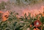 Image of United States air strike Vietnam, 1968, second 5 stock footage video 65675069677