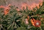 Image of United States air strike Vietnam, 1968, second 6 stock footage video 65675069677