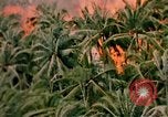 Image of United States air strike Vietnam, 1968, second 7 stock footage video 65675069677