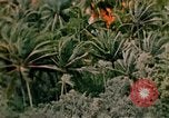 Image of United States air strike Vietnam, 1968, second 9 stock footage video 65675069677