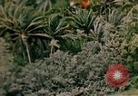 Image of United States air strike Vietnam, 1968, second 10 stock footage video 65675069677