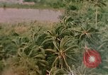 Image of United States air strike Vietnam, 1968, second 12 stock footage video 65675069677