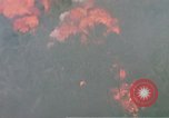 Image of United States air strike Vietnam, 1968, second 19 stock footage video 65675069677