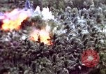 Standbild USA Air Strike Vietnam, 1968, aus Sekunde 10 historischem Filmmaterial Videoclip 65675069678