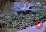 Image of United States air strike Vietnam, 1968, second 9 stock footage video 65675069681
