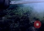 Image of United States air strike Vietnam, 1968, second 4 stock footage video 65675069686