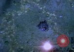 Image of United States air strike in Vietnam Vietnam, 1968, second 8 stock footage video 65675069692