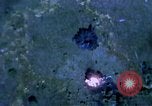 Image of United States air strike in Vietnam Vietnam, 1968, second 9 stock footage video 65675069692
