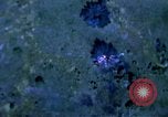 Image of United States air strike in Vietnam Vietnam, 1968, second 11 stock footage video 65675069692