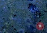 Image of United States air strike in Vietnam Vietnam, 1968, second 13 stock footage video 65675069692