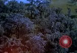 Image of United States air strike in Vietnam Vietnam, 1968, second 19 stock footage video 65675069692