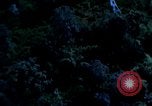 Image of United States air strike in Vietnam Vietnam, 1968, second 28 stock footage video 65675069692