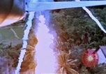 Image of United States air strike Vietnam, 1968, second 8 stock footage video 65675069693
