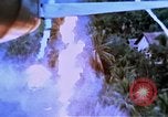 Image of United States air strike Vietnam, 1968, second 9 stock footage video 65675069693