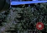 Image of United States air strike Vietnam, 1968, second 11 stock footage video 65675069694