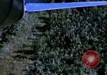 Image of United States air strike Vietnam, 1968, second 12 stock footage video 65675069694