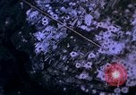 Immagine di Stati Uniti aerei sciopero Il Vietnam, 1968, secondo 9 filmato di repertorio 65675069695