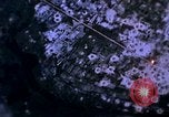 Immagine di Stati Uniti aerei sciopero Il Vietnam, 1968, secondo 10 filmato di repertorio 65675069695