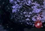 Immagine di Stati Uniti aerei sciopero Il Vietnam, 1968, secondo 11 filmato di repertorio 65675069695