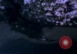 Immagine di Stati Uniti aerei sciopero Il Vietnam, 1968, secondo 16 filmato di repertorio 65675069695
