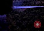 Immagine di Stati Uniti aerei sciopero Il Vietnam, 1968, secondo 29 filmato di repertorio 65675069695