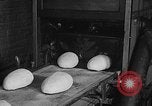 Standbild Vorbereitung der Ostereier Philadelphia Pennsylvania USA, 1932, aus Sekunde 33 historischem Filmmaterial Videoclip 65675069702