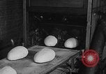 Standbild Vorbereitung der Ostereier Philadelphia Pennsylvania USA, 1932, aus Sekunde 35 historischem Filmmaterial Videoclip 65675069702