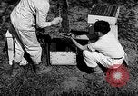 Standbild Ed Hutchinson Chino California USA, 1932, aus Sekunde 20 historischem Filmmaterial Videoclip 65675069703