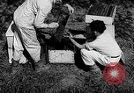 Standbild Ed Hutchinson Chino California USA, 1932, aus Sekunde 23 historischem Filmmaterial Videoclip 65675069703