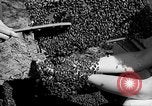 Standbild Ed Hutchinson Chino California USA, 1932, aus Sekunde 33 historischem Filmmaterial Videoclip 65675069703