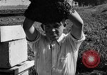 Standbild Ed Hutchinson Chino California USA, 1932, aus Sekunde 54 historischem Filmmaterial Videoclip 65675069703