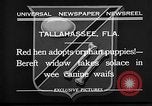 Standbild Ein Wurf Welpen bleiben in der Nähe der Red hen Tallahassee Florida USA, 1932, aus Sekunde 12 historischem Filmmaterial Videoclip 65675069705