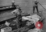Image fishermen catch fish Longview Washington USA, 1932, de la seconde 20 séquences d'archives historiques vidéo 65675069706