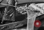 Image fishermen catch fish Longview Washington USA, 1932, de la seconde 29 séquences d'archives historiques vidéo 65675069706