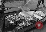 Image fishermen catch fish Longview Washington USA, 1932, de la seconde 30 séquences d'archives historiques vidéo 65675069706