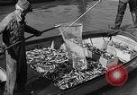 Image fishermen catch fish Longview Washington USA, 1932, de la seconde 31 séquences d'archives historiques vidéo 65675069706
