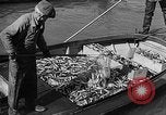 Image fishermen catch fish Longview Washington USA, 1932, de la seconde 32 séquences d'archives historiques vidéo 65675069706
