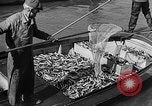 Image fishermen catch fish Longview Washington USA, 1932, de la seconde 33 séquences d'archives historiques vidéo 65675069706