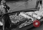 Image fishermen catch fish Longview Washington USA, 1932, de la seconde 34 séquences d'archives historiques vidéo 65675069706