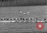 Image fishermen catch fish Longview Washington USA, 1932, de la seconde 52 séquences d'archives historiques vidéo 65675069706