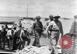 Image of United States troops Ulithi Atoll Caroline Islands, 1944, second 3 stock footage video 65675069707